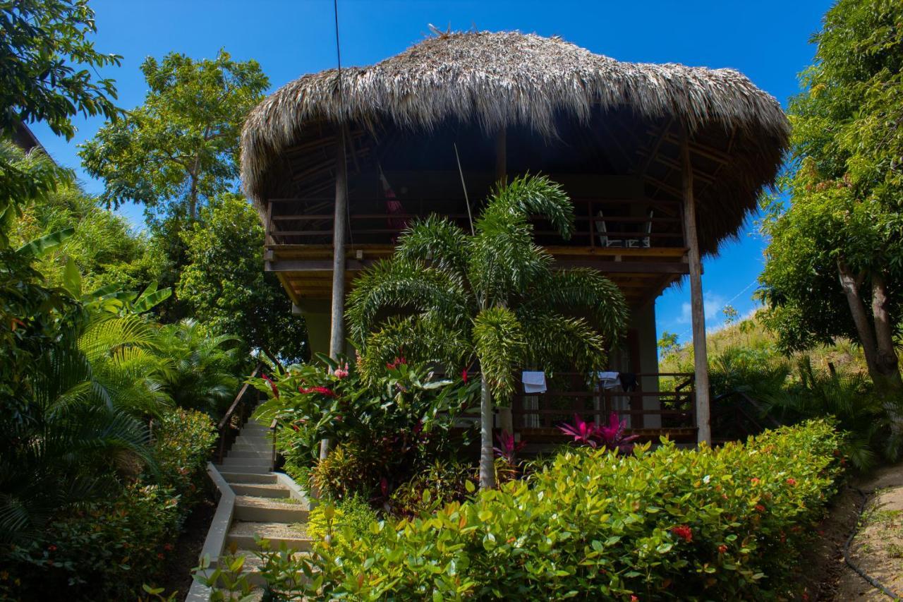Hotel Isabella Tayrona Los Naranjos Eksteriør billede