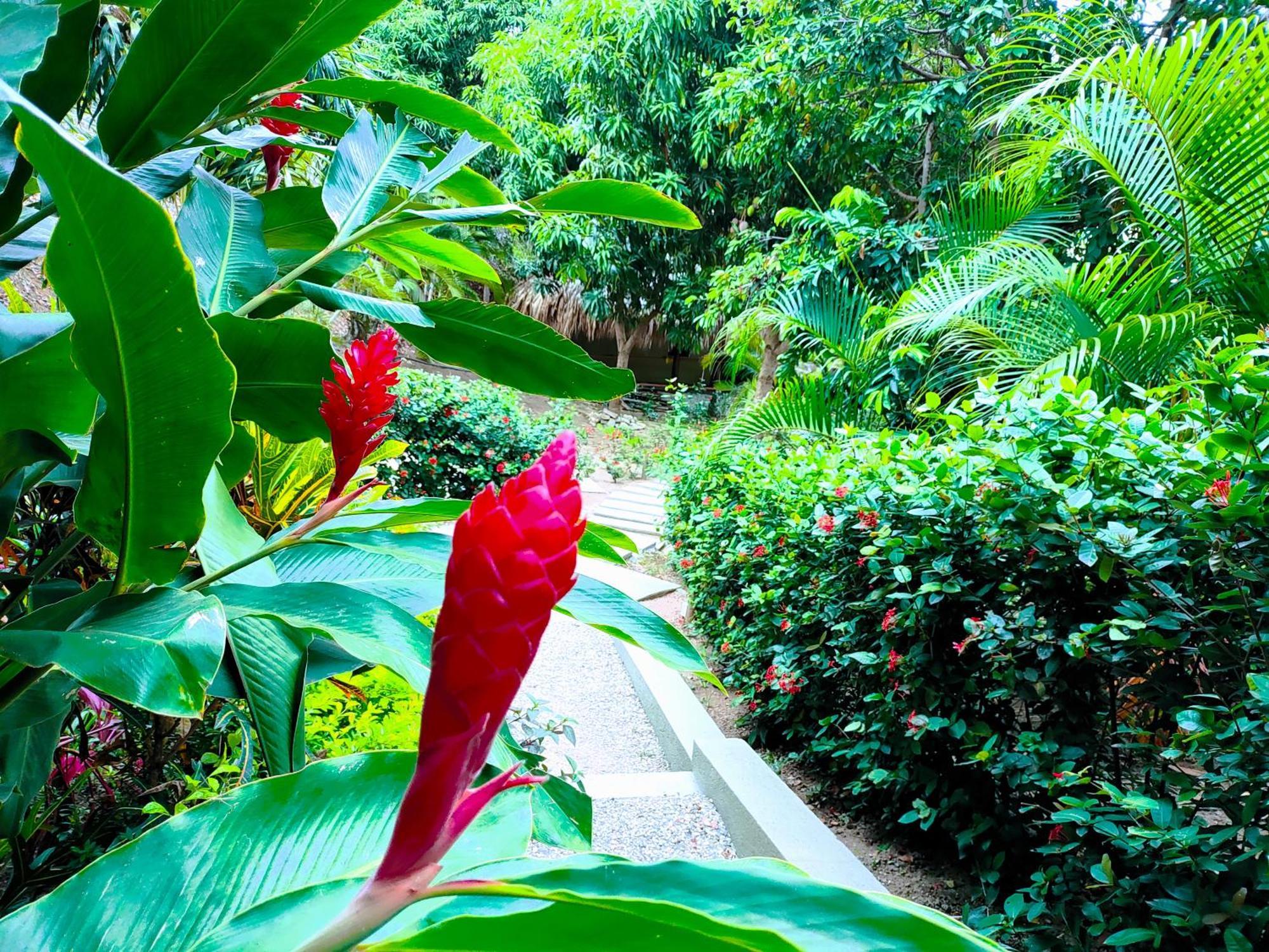 Hotel Isabella Tayrona Los Naranjos Eksteriør billede