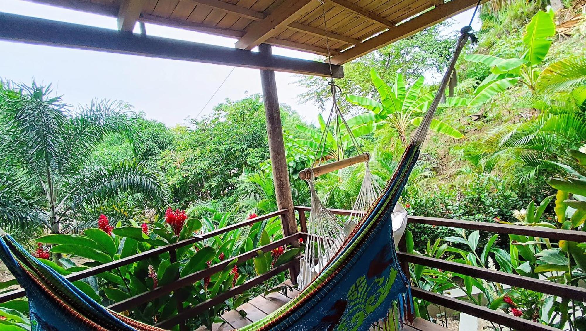 Hotel Isabella Tayrona Los Naranjos Eksteriør billede