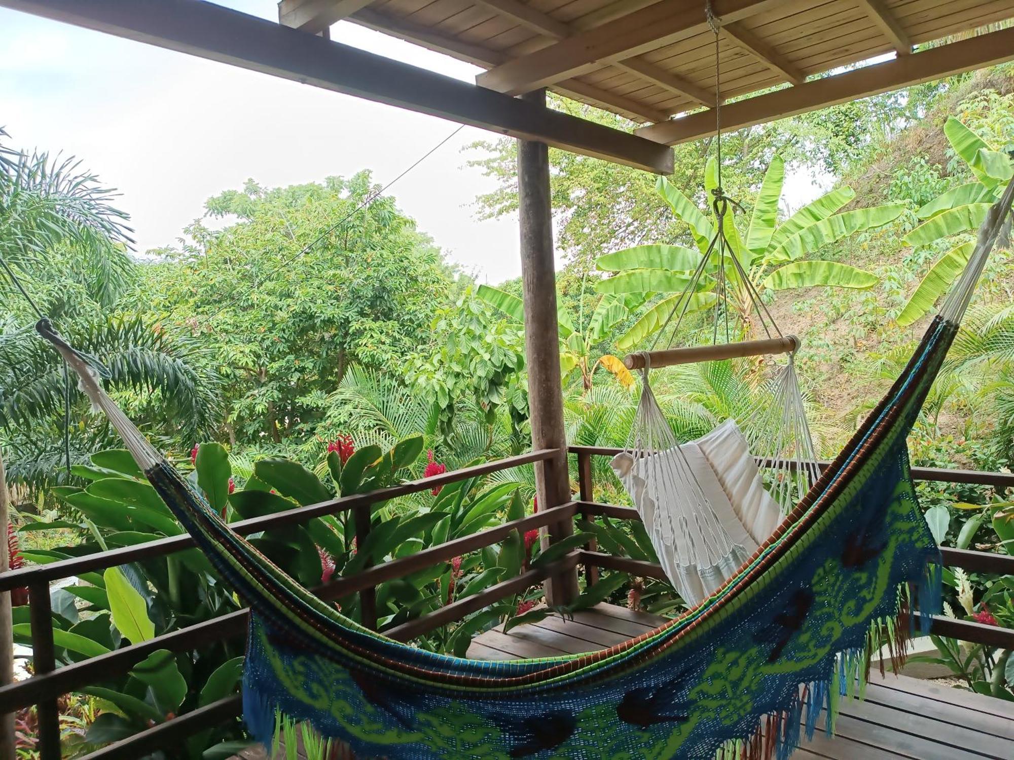 Hotel Isabella Tayrona Los Naranjos Eksteriør billede